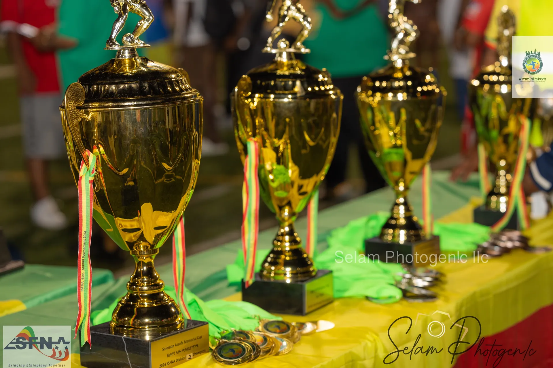 Trophies lined up on a table draped in green, gold and red