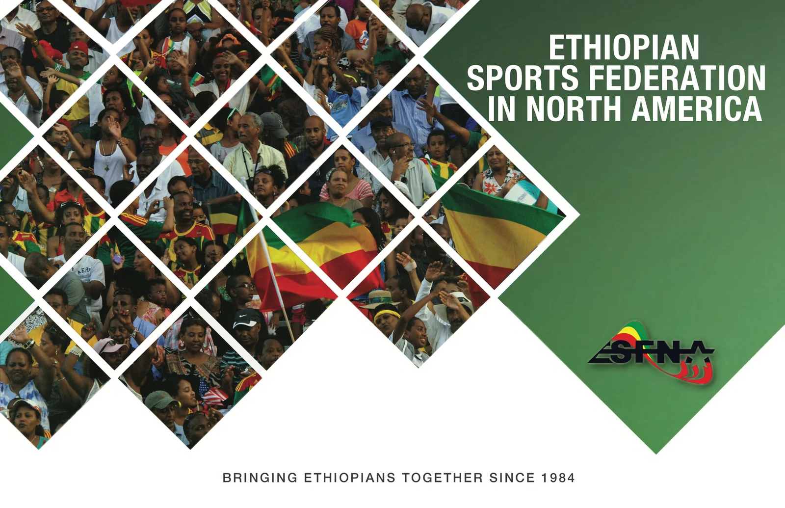 ESFNA storyboard, slide 1: Cover