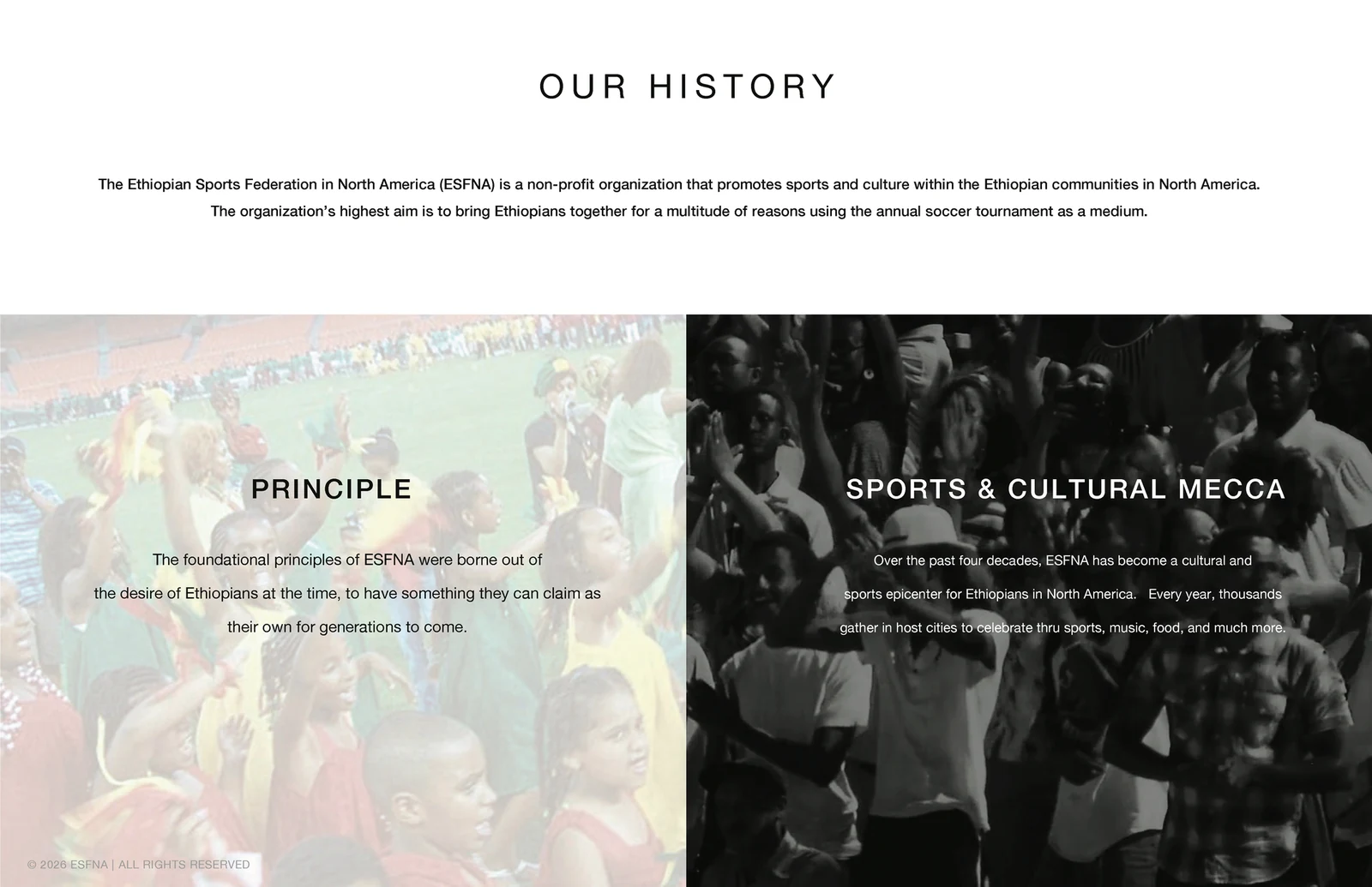 ESFNA storyboard, slide 3: Our History