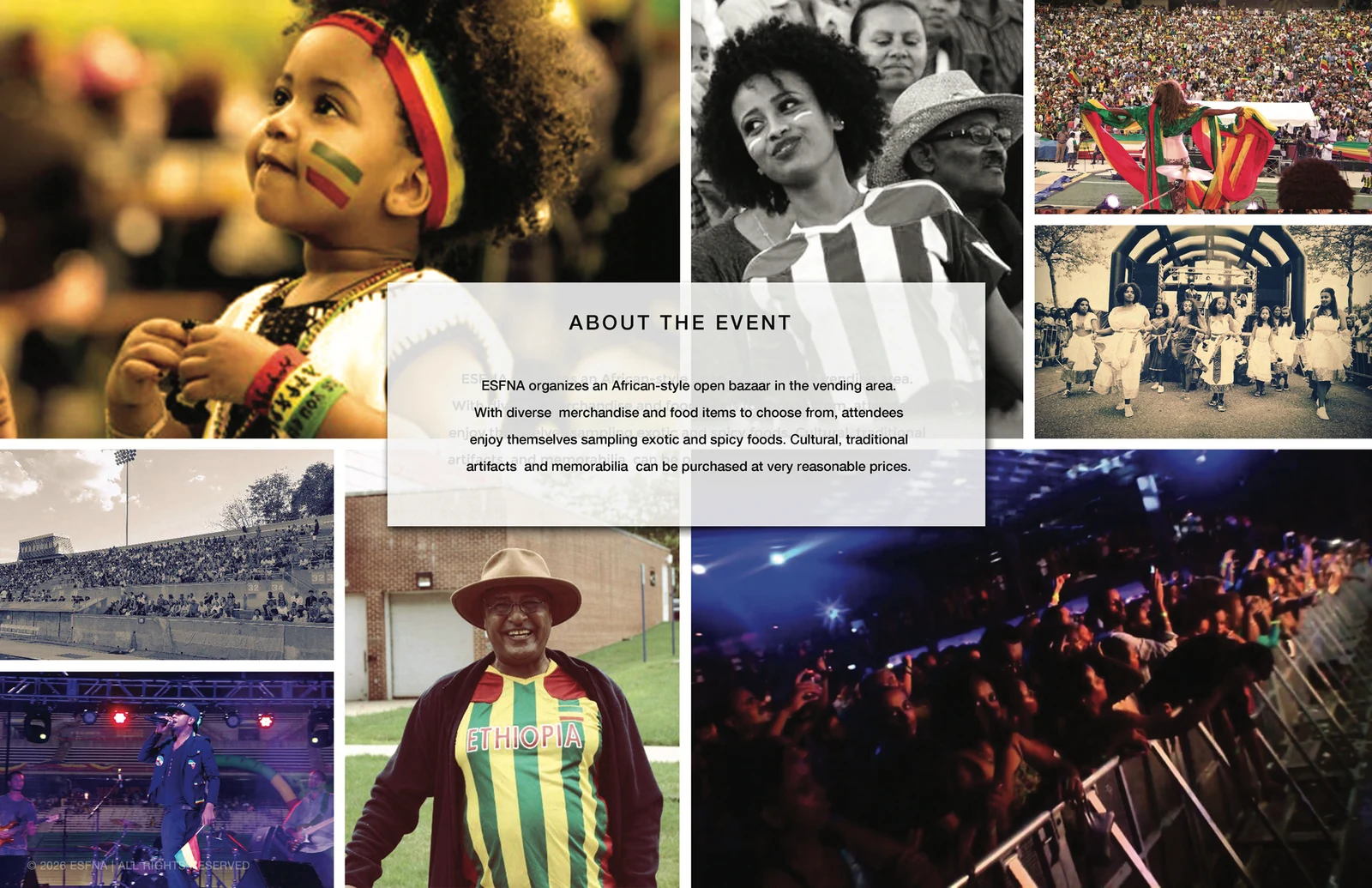 ESFNA storyboard, slide 7: About the Event