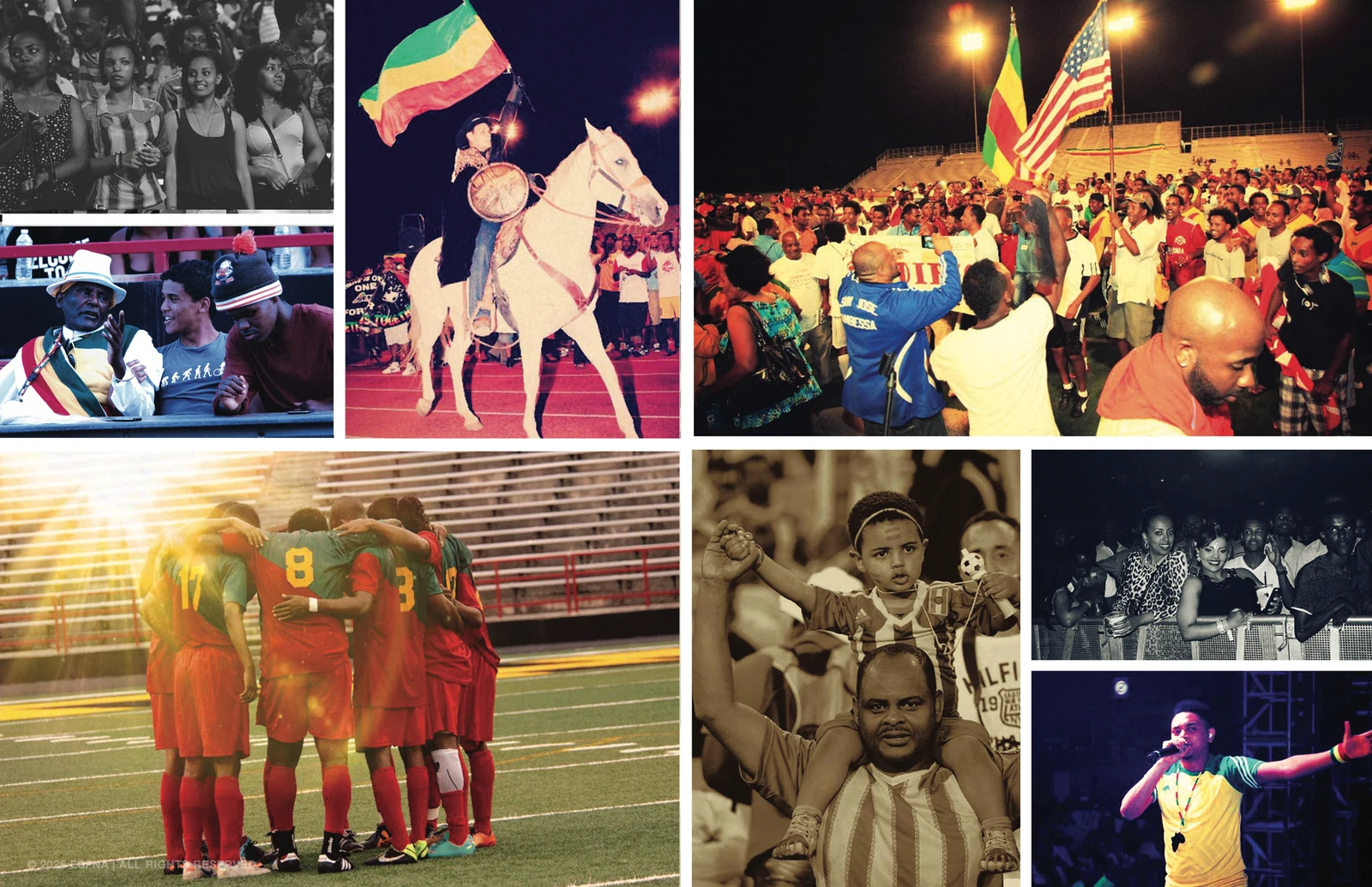 ESFNA storyboard, slide 14: Photo Mosaic